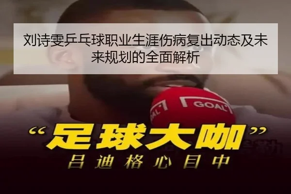 刘诗雯乒乓球职业生涯伤病复出动态及未来规划的全面解析